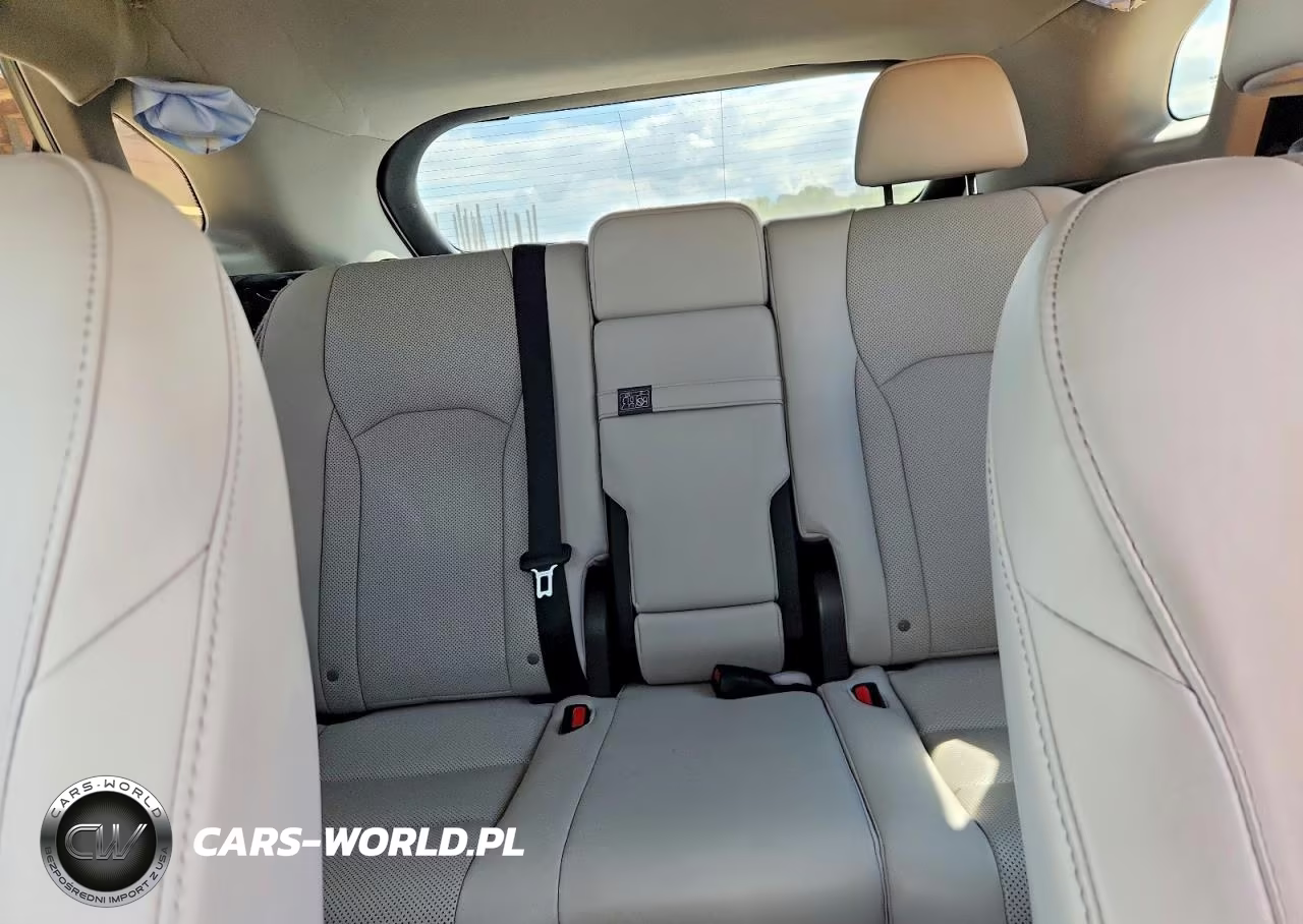 2021 Lexus Rx 350 Base VIN:2T2AZMDA0MC262810 - 10