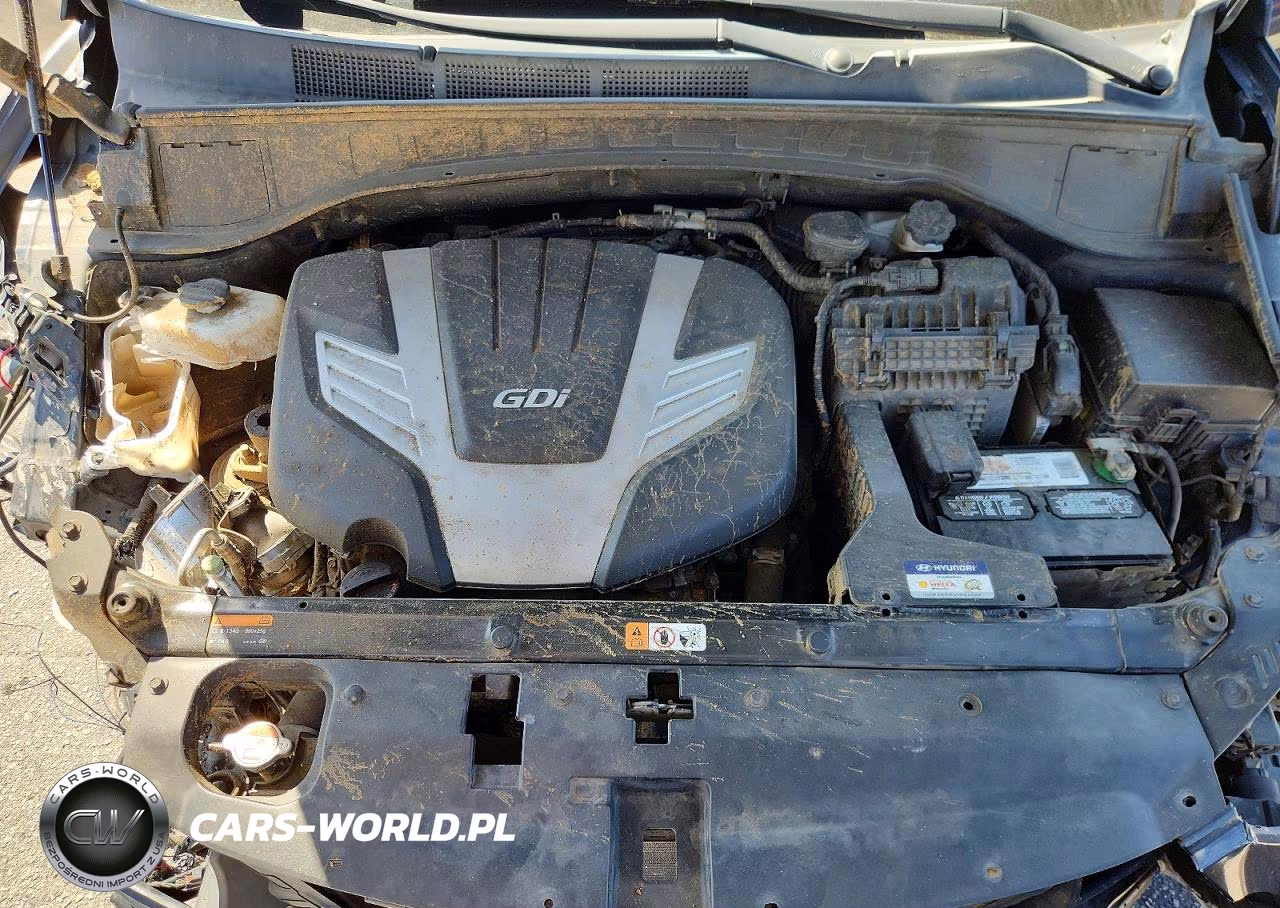 2017 Hyundai Santa Fe Se Ultimate VIN:KM8SR4HF4HU245950 - 12