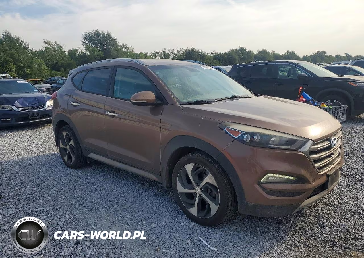 2017 Hyundai Tucson Limited VIN:KM8J33A22HU526157 - 4