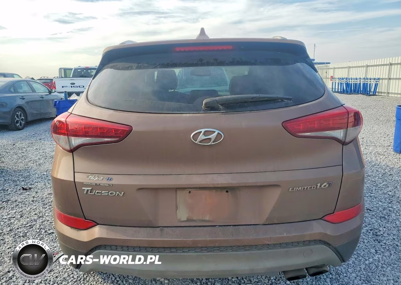 2017 Hyundai Tucson Limited VIN:KM8J33A22HU526157 - 6