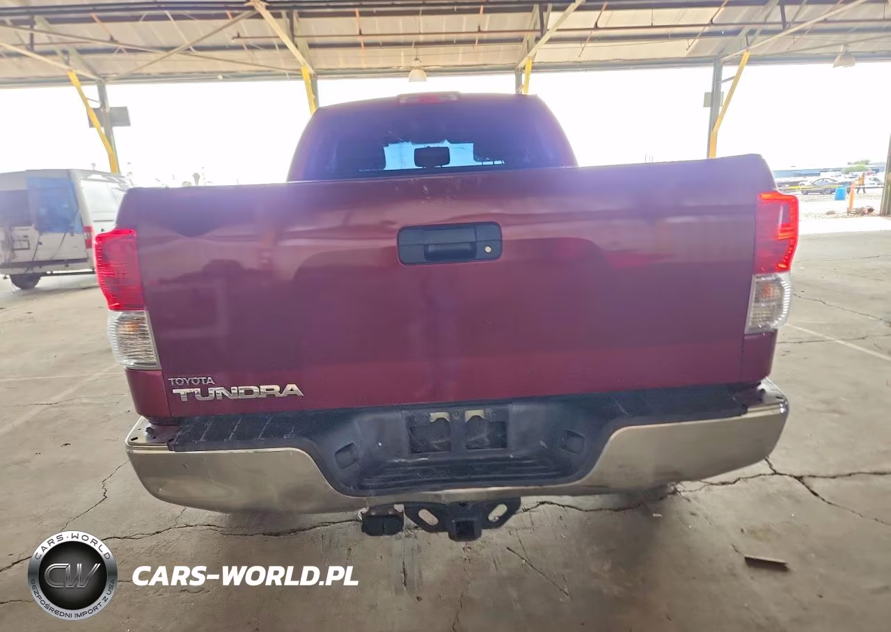 2010 Toyota Tundra Double Cab Sr5 VIN:5TFRY5F13AX080738 - 6