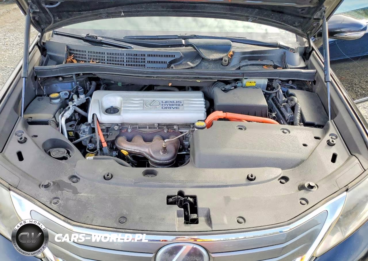 2010 Lexus Hs 250H VIN:JTHBB1BA0A2009638 - 11