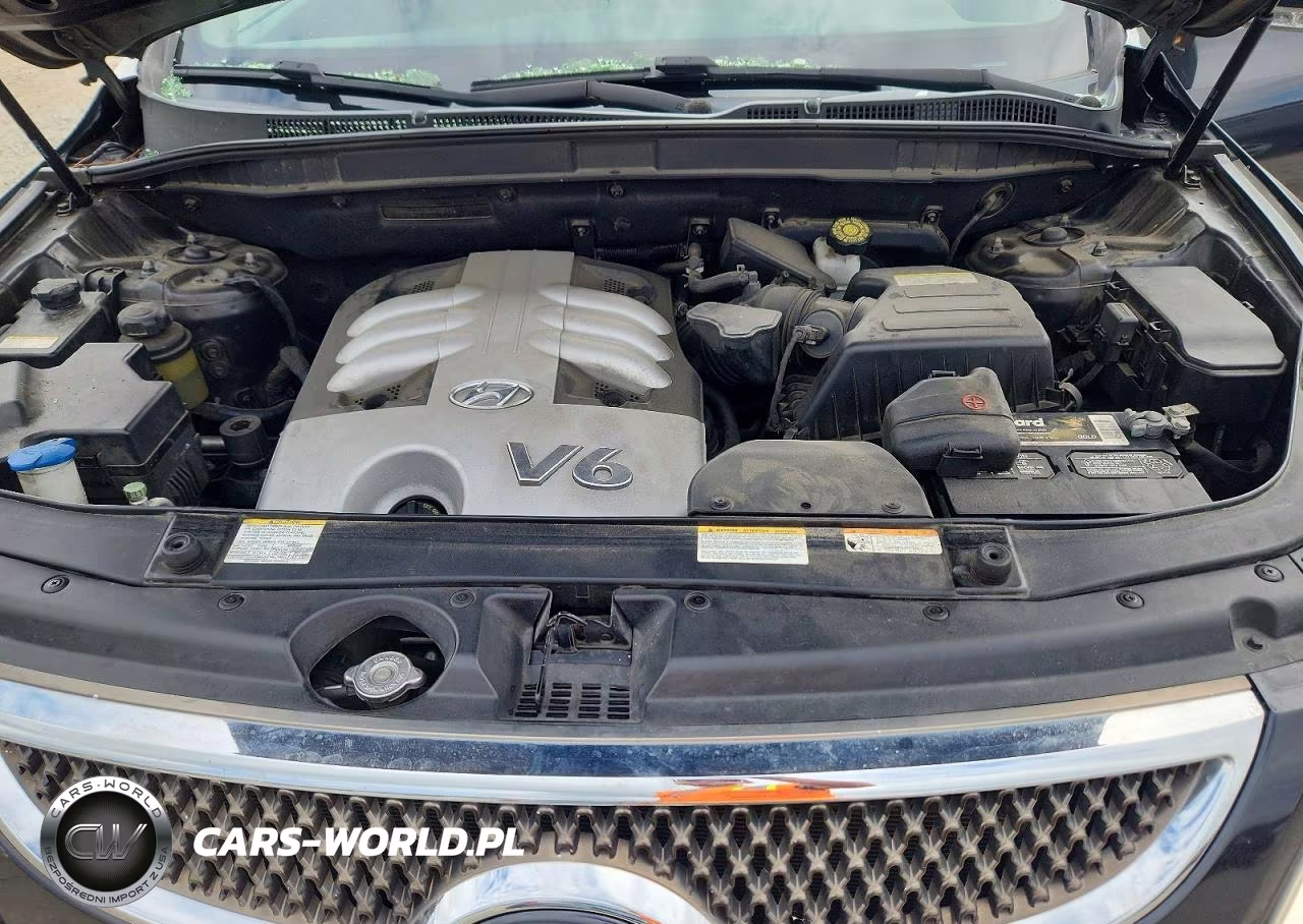2008 Hyundai Veracruz Gls VIN:KM8NU13C78U028741 - 12