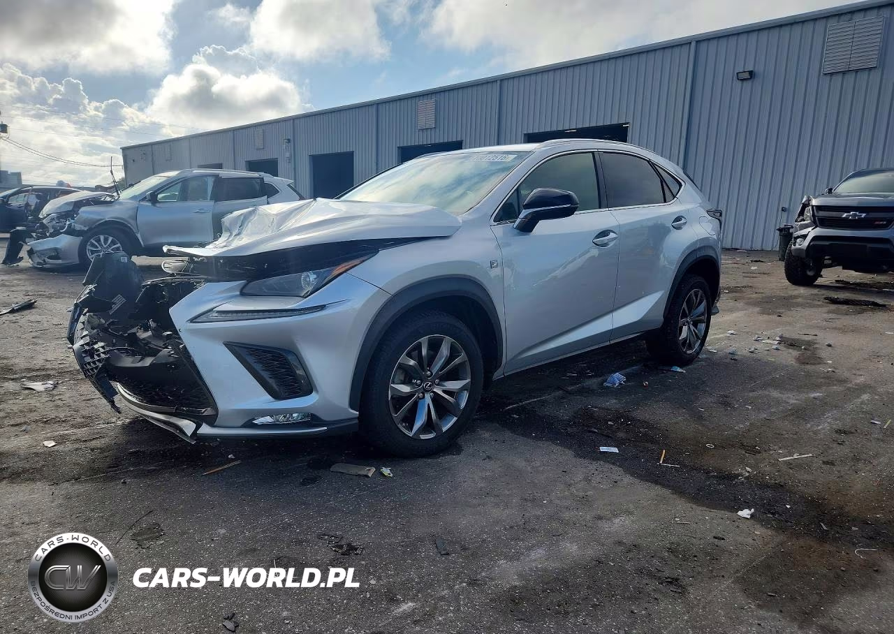 2019 Lexus Nx 300 F Sport