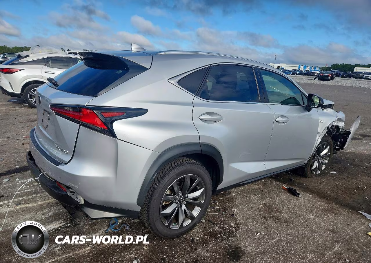 2019 Lexus Nx 300 F Sport VIN:JTJYARBZ4K2122350 - 3