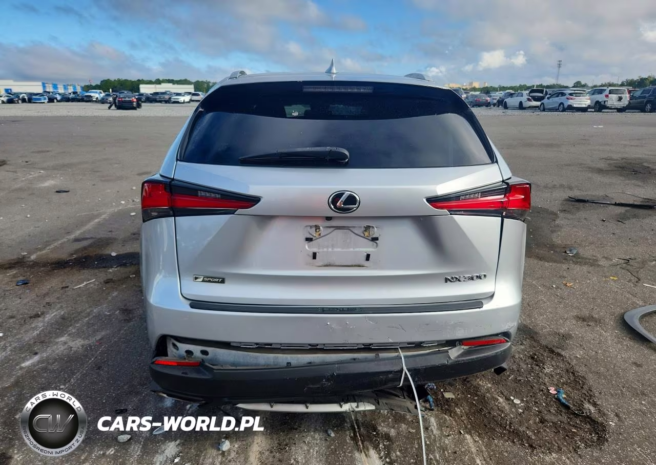 2019 Lexus Nx 300 F Sport VIN:JTJYARBZ4K2122350 - 6