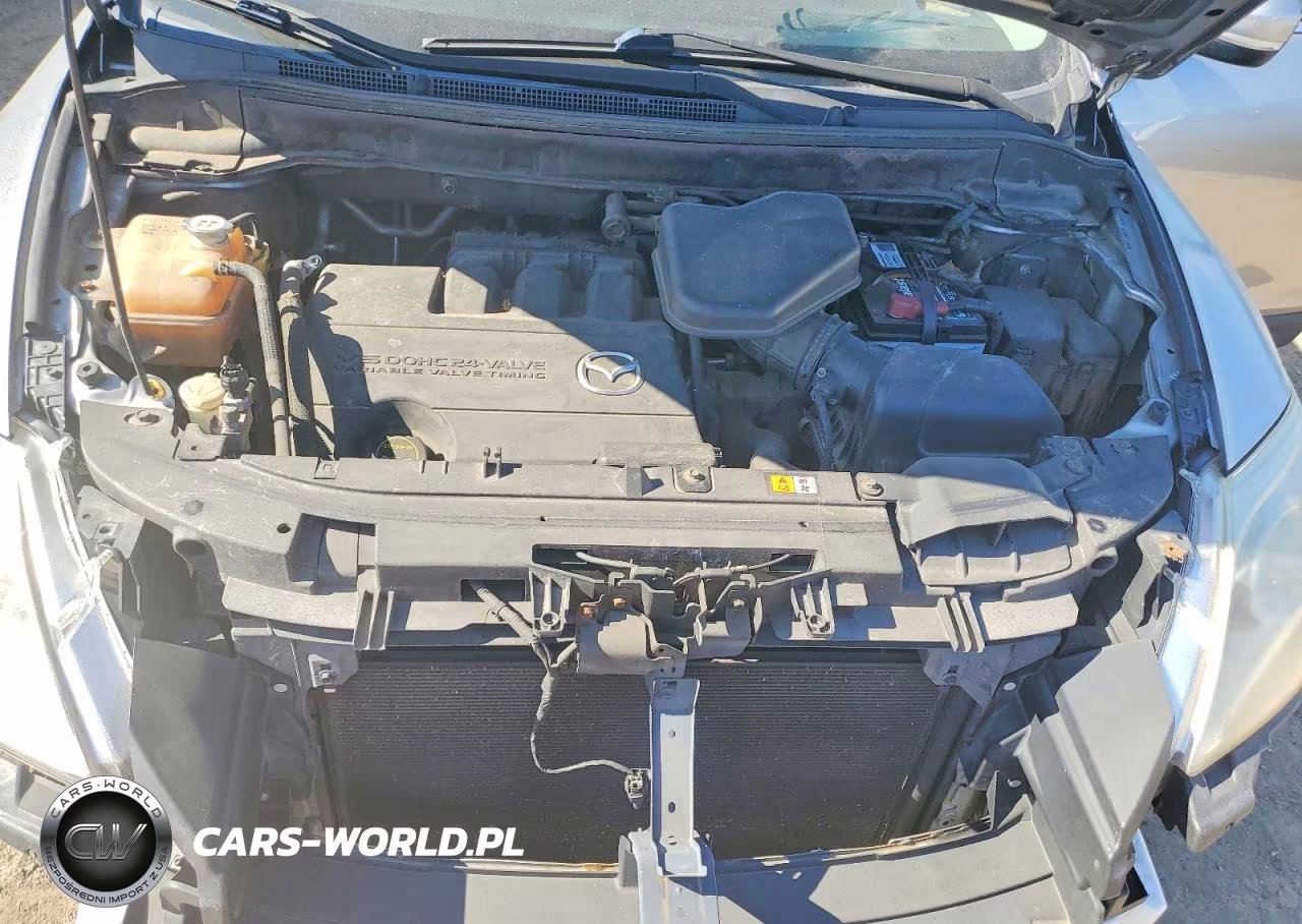 2011 Mazda Cx-9 VIN:JM3TB3DA0B0319792 - 12