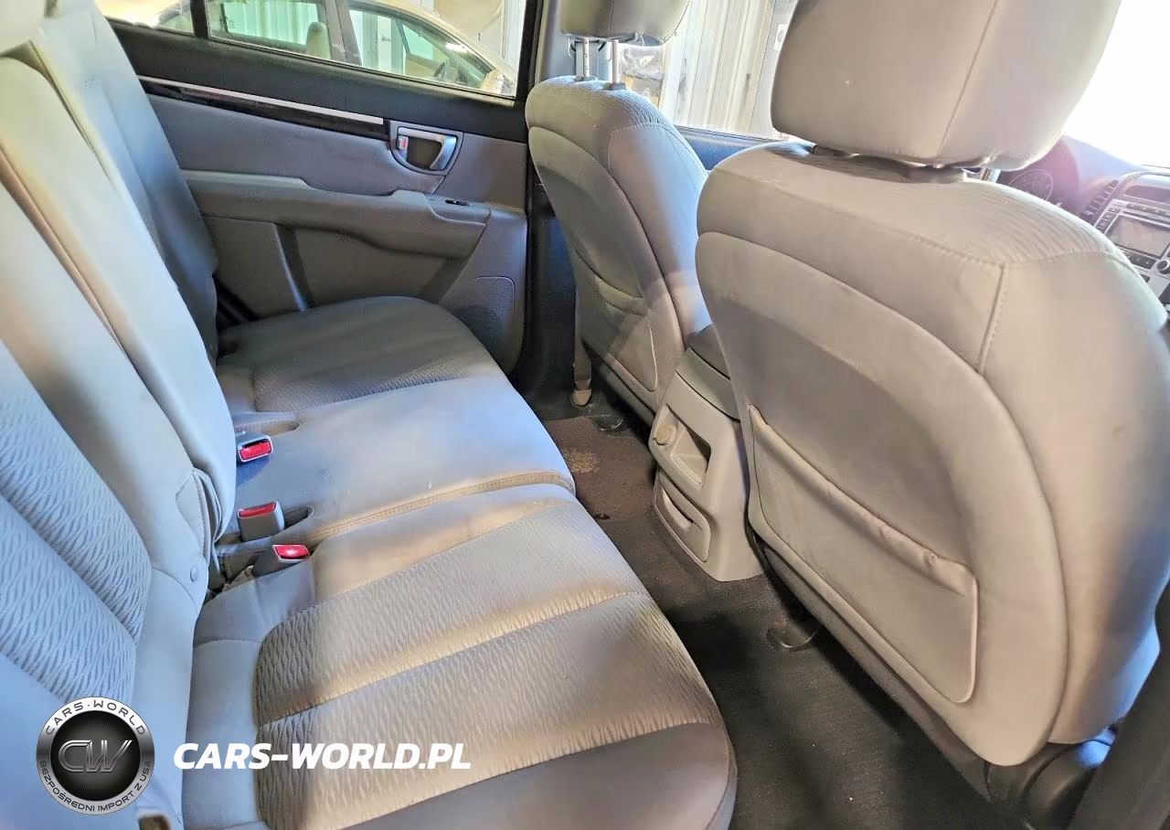 2009 Hyundai Santa Fe Gls VIN:5NMSG13D39H250936 - 11