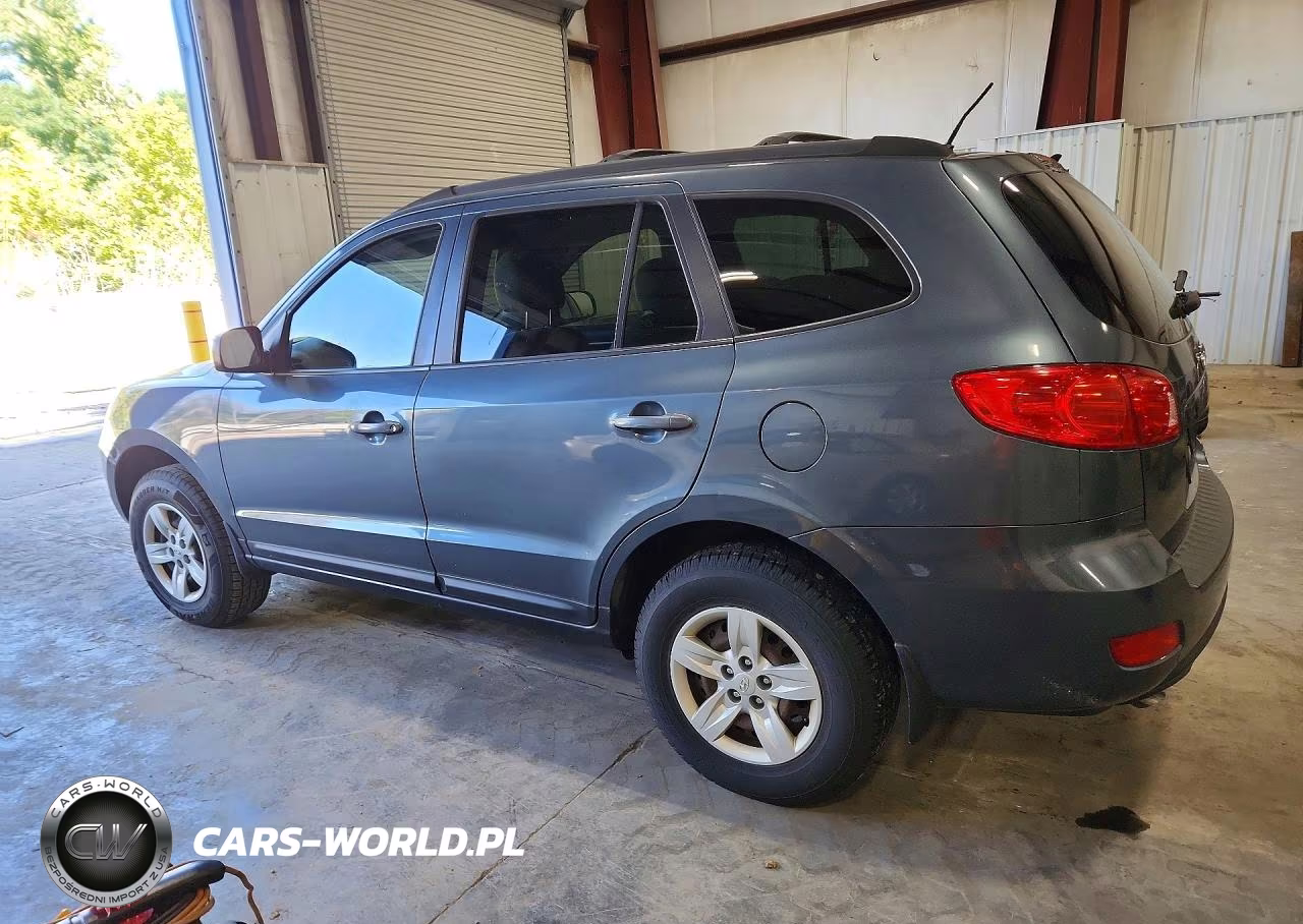 2009 Hyundai Santa Fe Gls VIN:5NMSG13D39H250936 - 2