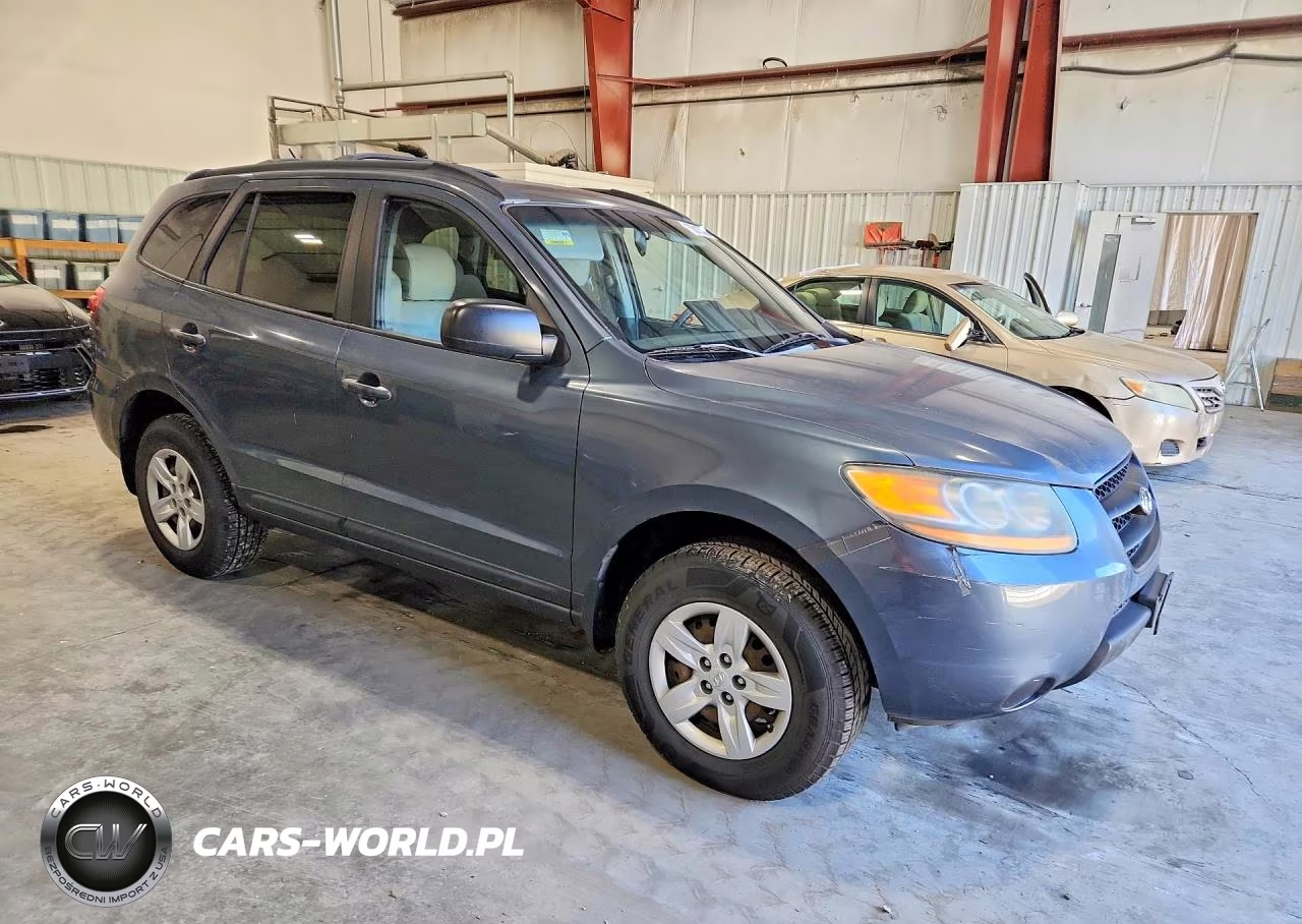 2009 Hyundai Santa Fe Gls VIN:5NMSG13D39H250936 - 4