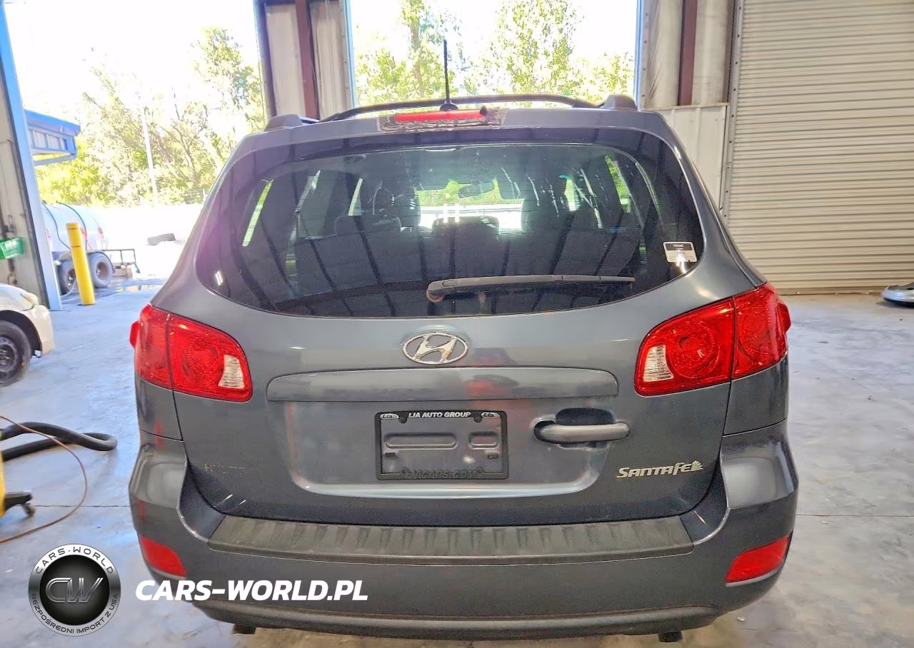 2009 Hyundai Santa Fe Gls VIN:5NMSG13D39H250936 - 6