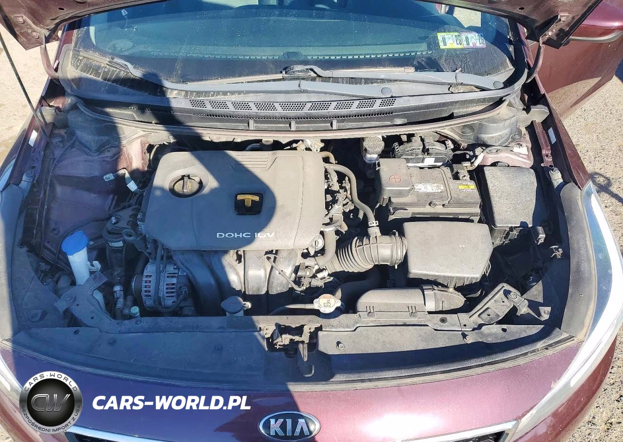 2018 Kia Forte Lx VIN:3KPFL4A7XJE196655 - 11