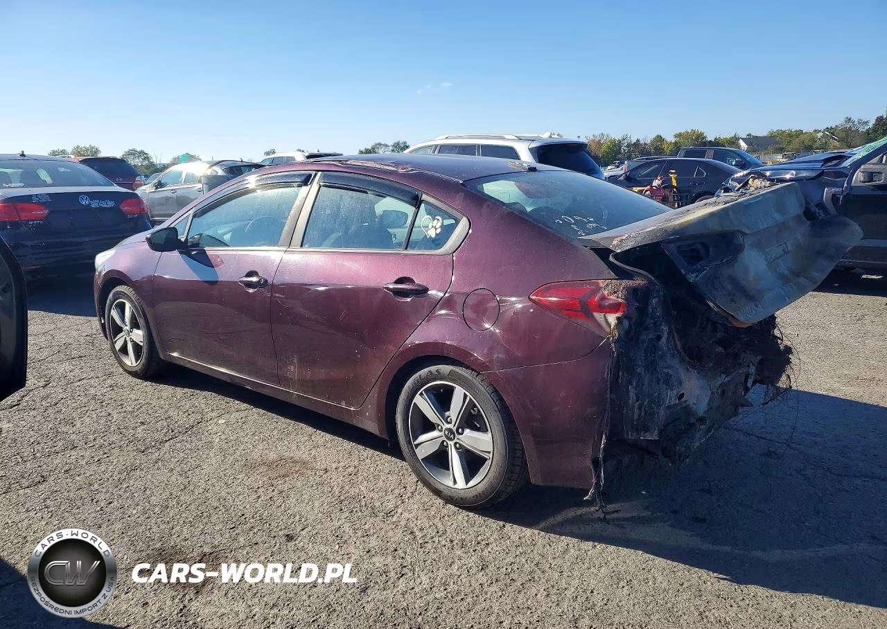 2018 Kia Forte Lx VIN:3KPFL4A7XJE196655 - 2
