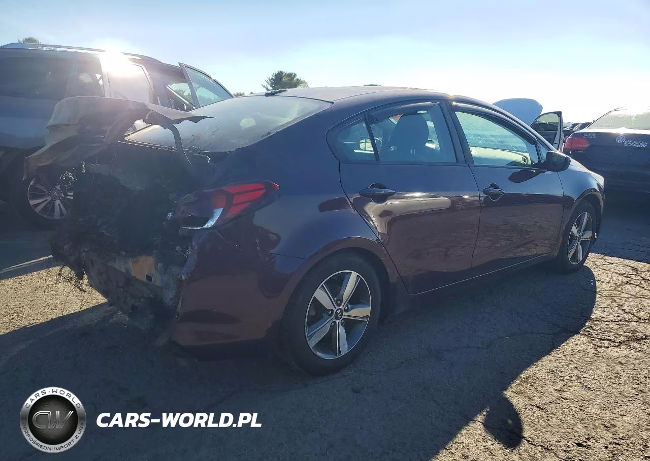 2018 Kia Forte Lx VIN:3KPFL4A7XJE196655 - 3