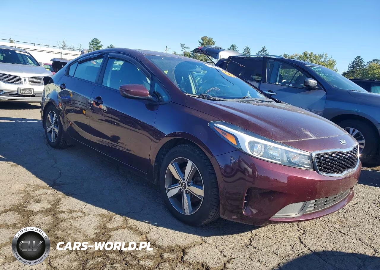 2018 Kia Forte Lx VIN:3KPFL4A7XJE196655 - 4