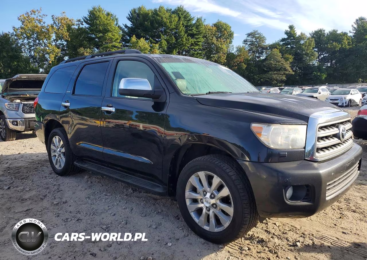 2010 Toyota Sequoia Limited VIN:5TDJY5G18AS037093 - 4