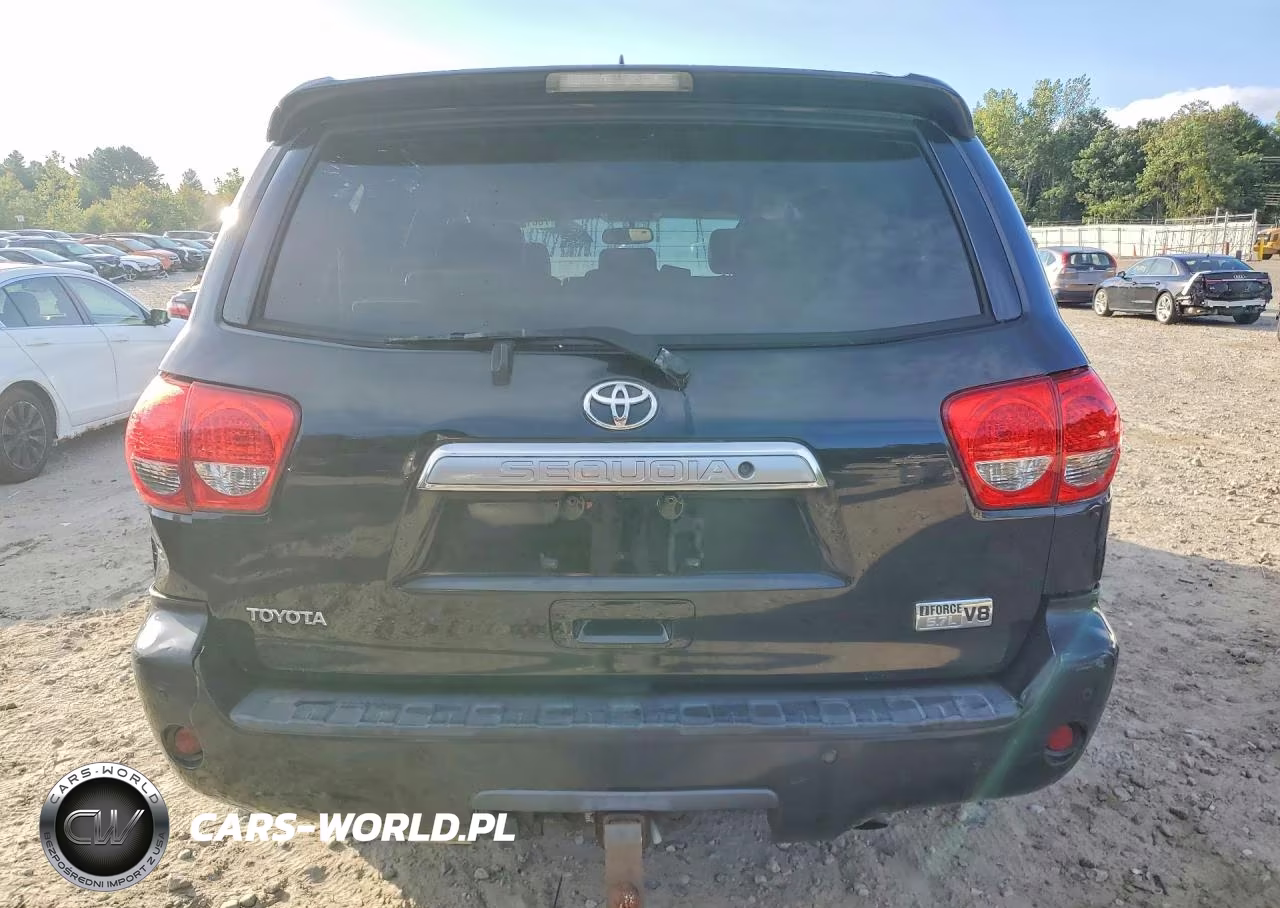 2010 Toyota Sequoia Limited VIN:5TDJY5G18AS037093 - 6