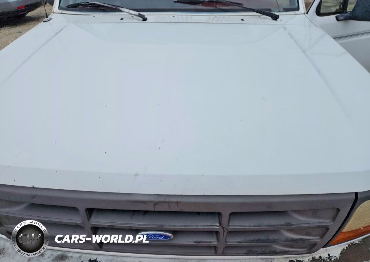 1994 Ford F150 VIN:1FTEF15Y3RLB51435 - 11
