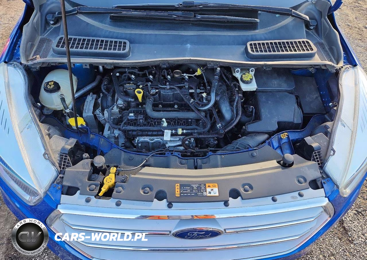 2019 Ford Escape Se VIN:1FMCU0GD2KUB96766 - 11