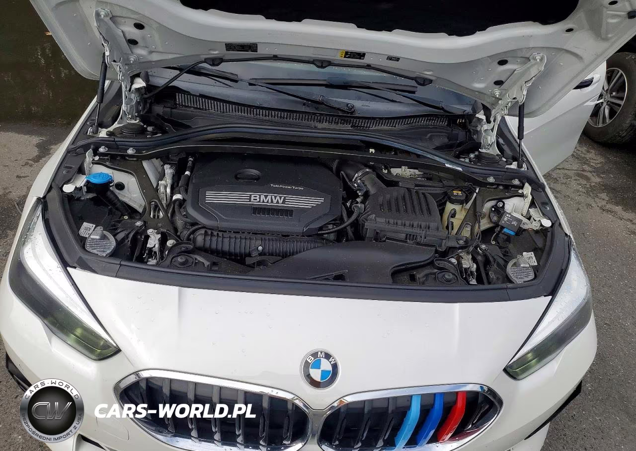 2021 BMW 228Xi VIN:WBA73AK04M7H03171 - 11