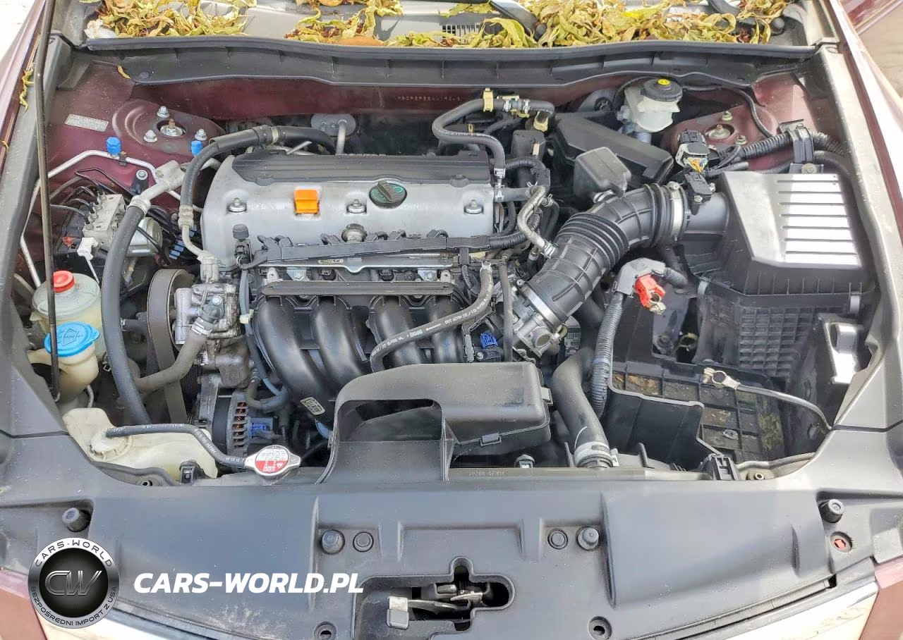 2010 Honda Accord Lx VIN:1HGCP2F32AA192461 - 11