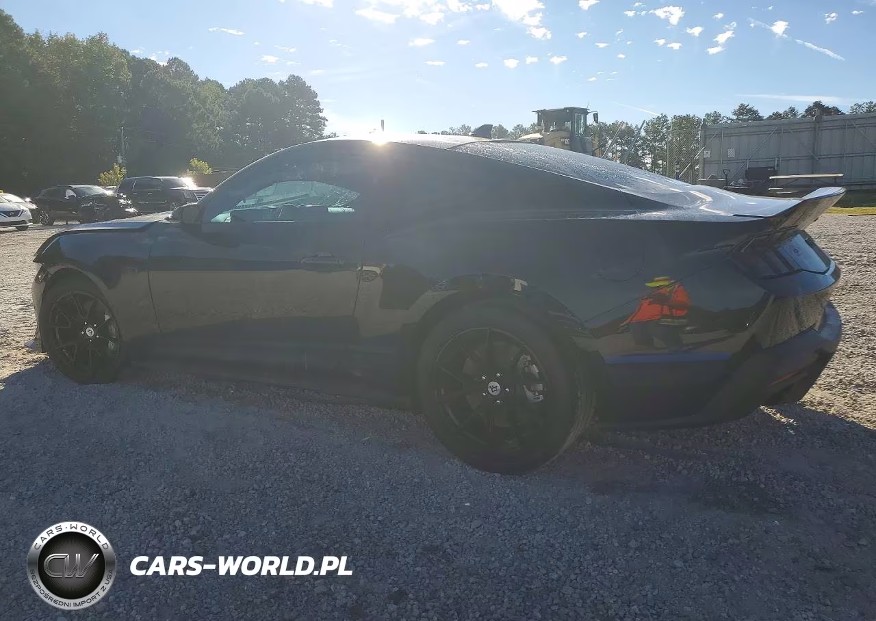 2024 Ford Mustang Gt VIN:1FA6P8CF1R5422496 - 2