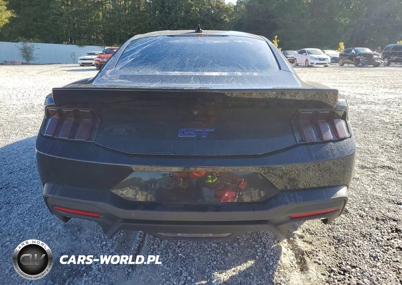 2024 Ford Mustang Gt VIN:1FA6P8CF1R5422496 - 6