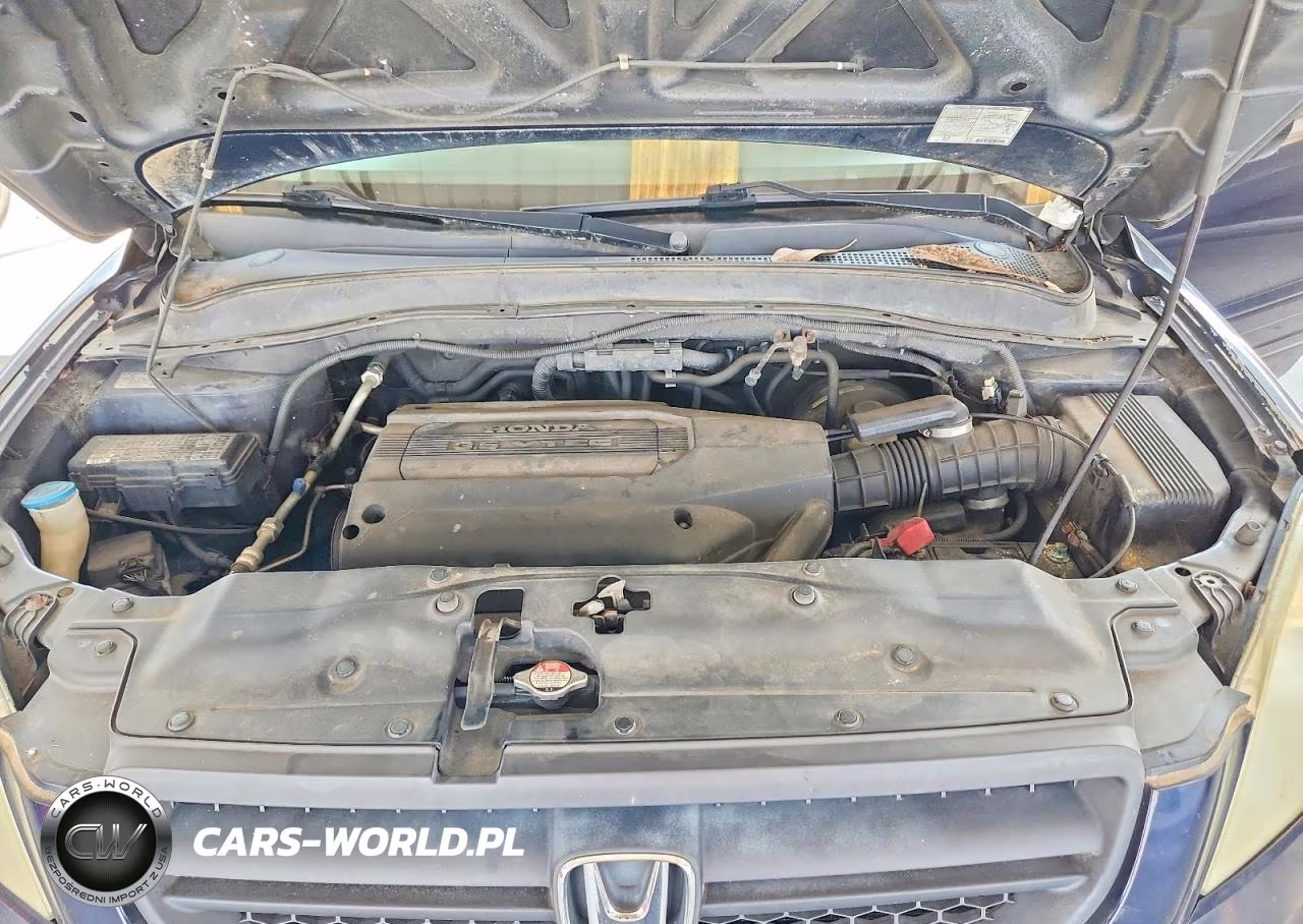 2004 Honda Pilot Exl VIN:2HKYF18564H561206 - 11