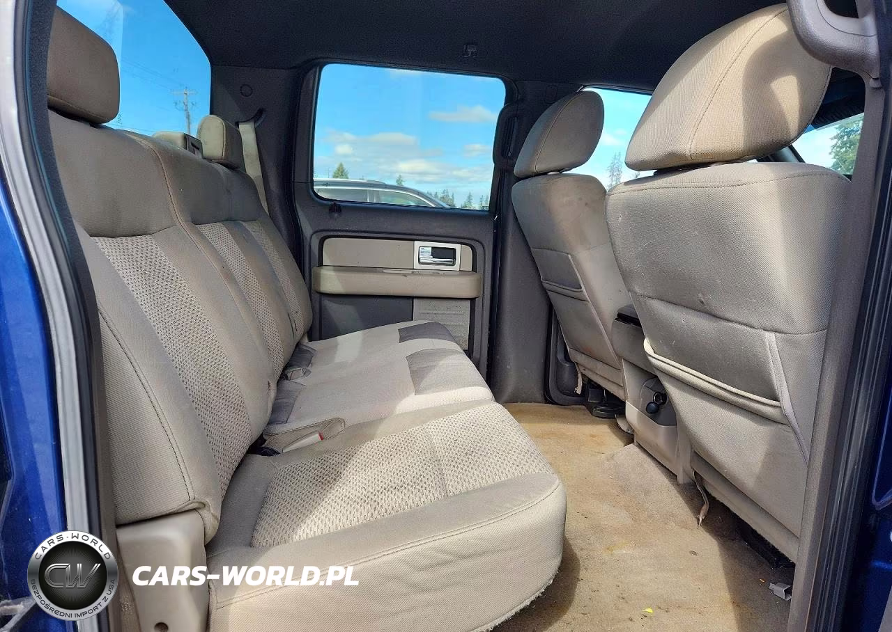 2009 Ford F150 Supercrew VIN:1FTRW12829FA07413 - 10