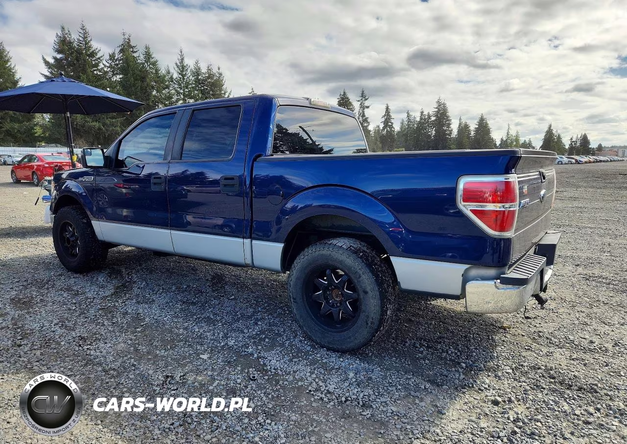2009 Ford F150 Supercrew VIN:1FTRW12829FA07413 - 2