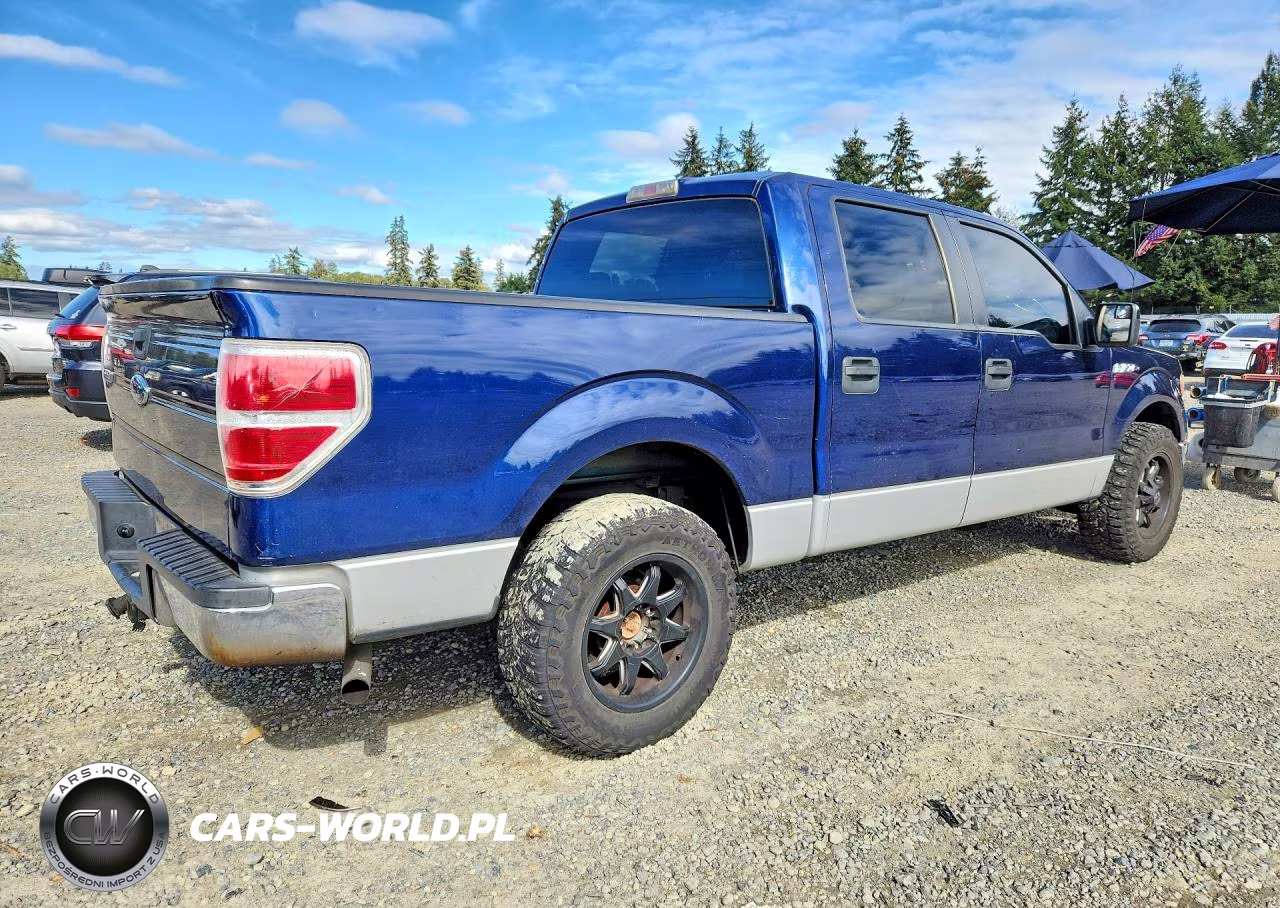 2009 Ford F150 Supercrew VIN:1FTRW12829FA07413 - 3