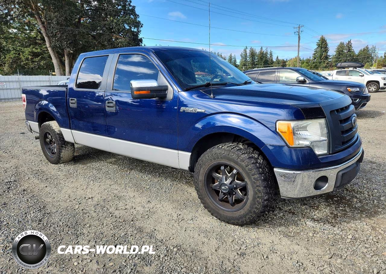 2009 Ford F150 Supercrew VIN:1FTRW12829FA07413 - 4