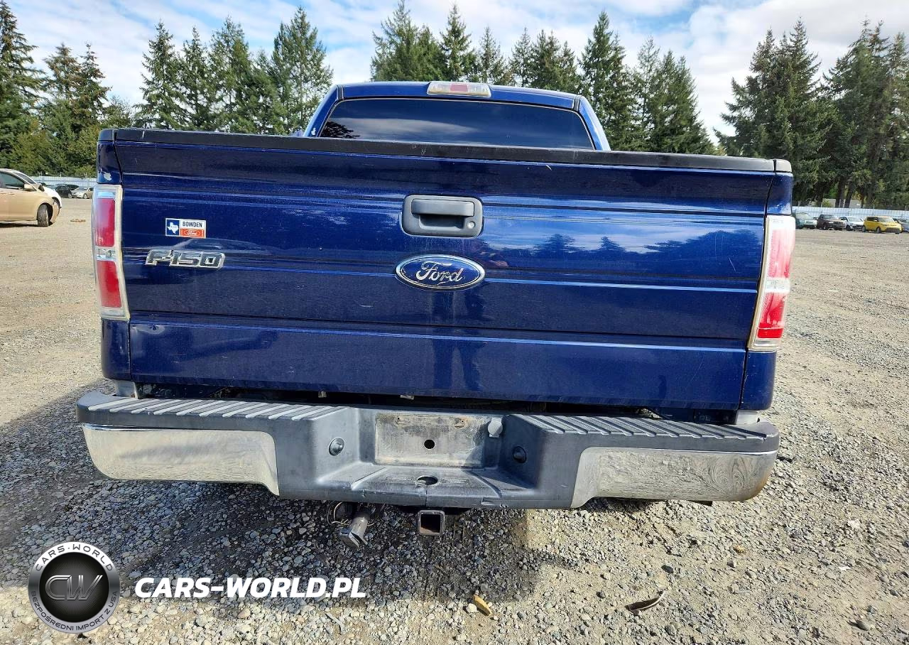 2009 Ford F150 Supercrew VIN:1FTRW12829FA07413 - 6