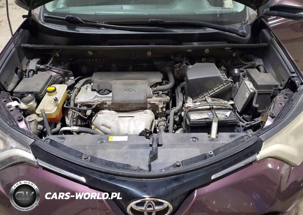 2016 Toyota Rav4 Xle VIN:2T3RFREV6GW475401 - 12