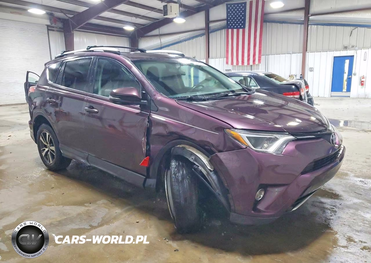 2016 Toyota Rav4 Xle VIN:2T3RFREV6GW475401 - 4