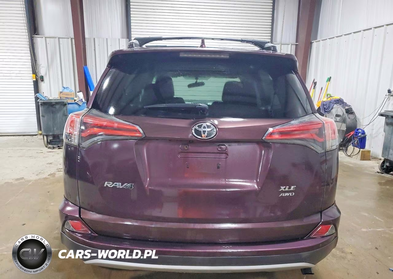 2016 Toyota Rav4 Xle VIN:2T3RFREV6GW475401 - 6