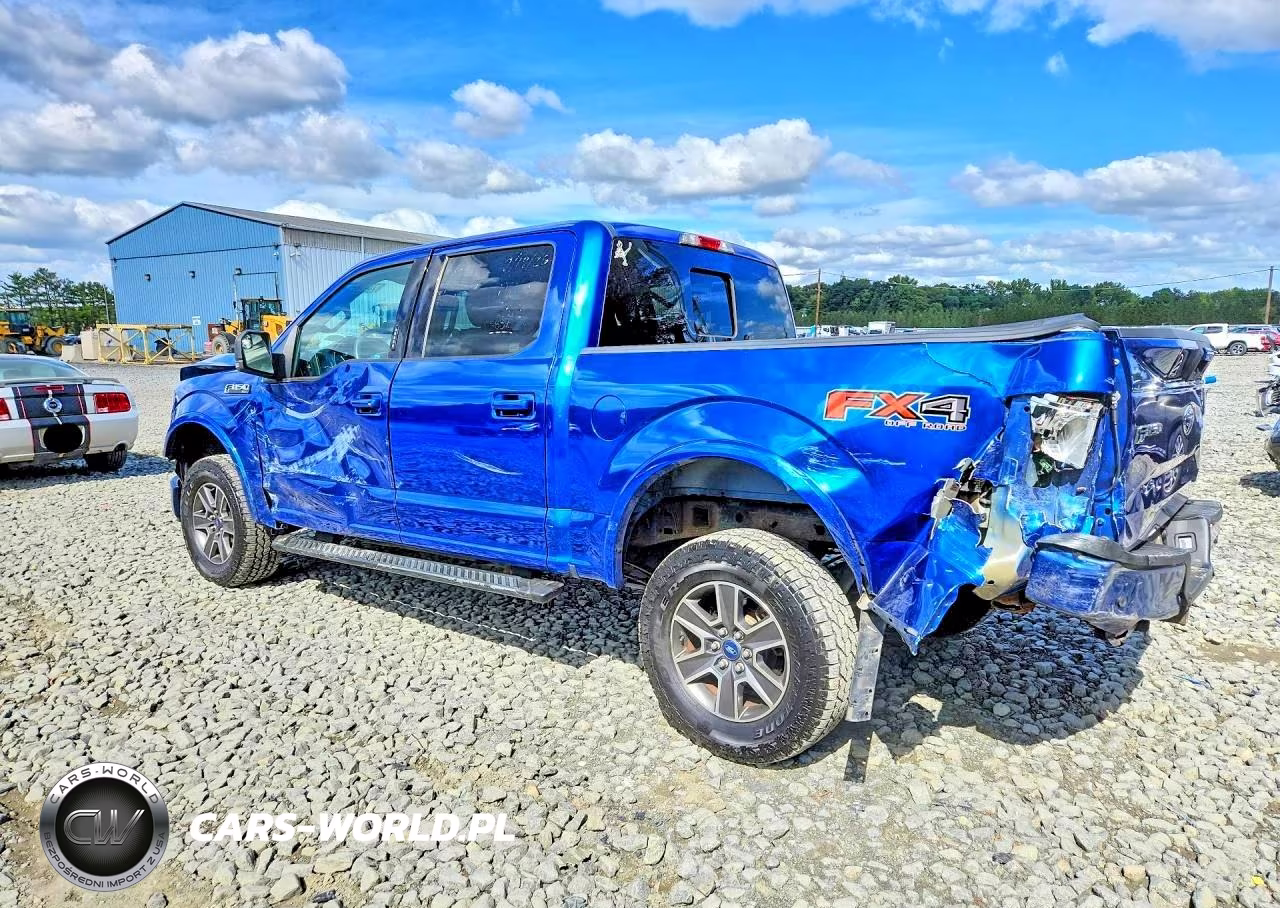2017 Ford F150 Supercrew VIN:1FTEW1EG5HFB38447 - 2