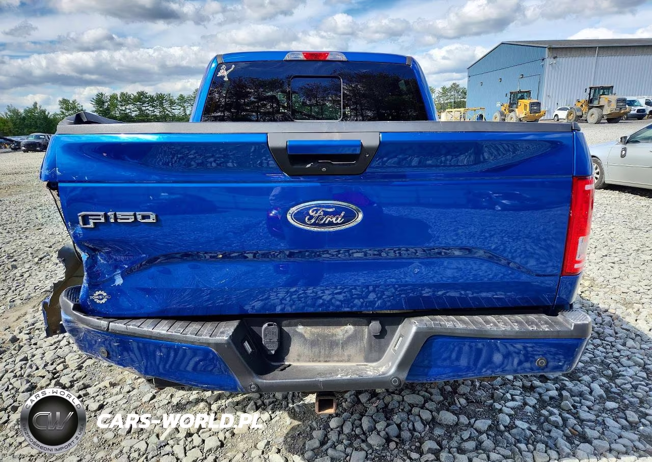 2017 Ford F150 Supercrew VIN:1FTEW1EG5HFB38447 - 6