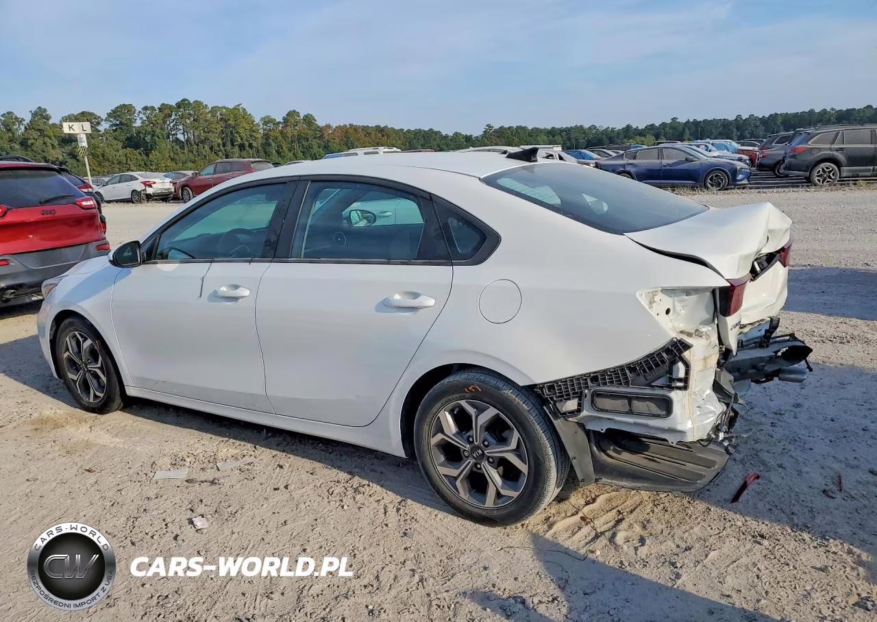 2019 Kia Forte Lxs VIN:3KPF24AD4KE113313 - 2