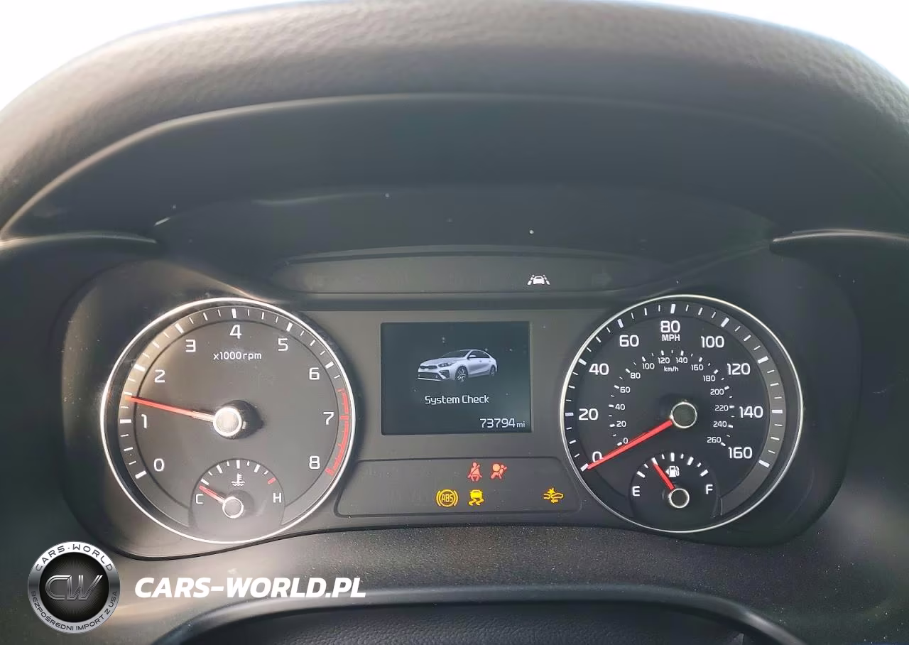 2019 Kia Forte Lxs VIN:3KPF24AD4KE113313 - 9