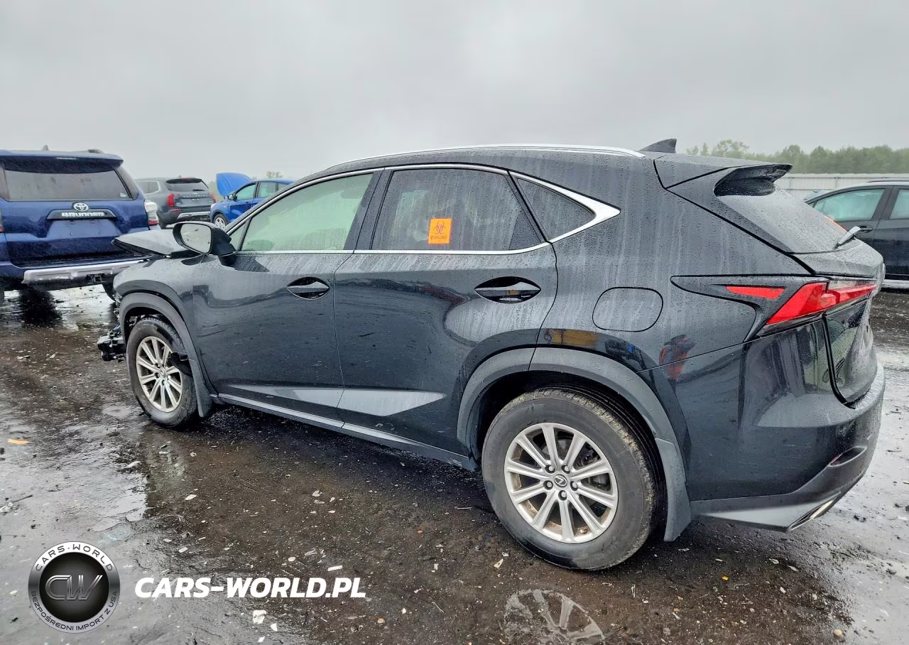 2020 Lexus Nx 300 VIN:JTJDARDZXL5011703 - 2