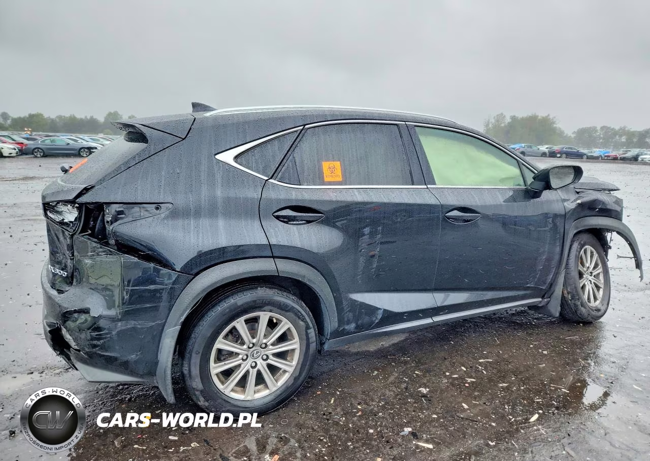 2020 Lexus Nx 300 VIN:JTJDARDZXL5011703 - 3