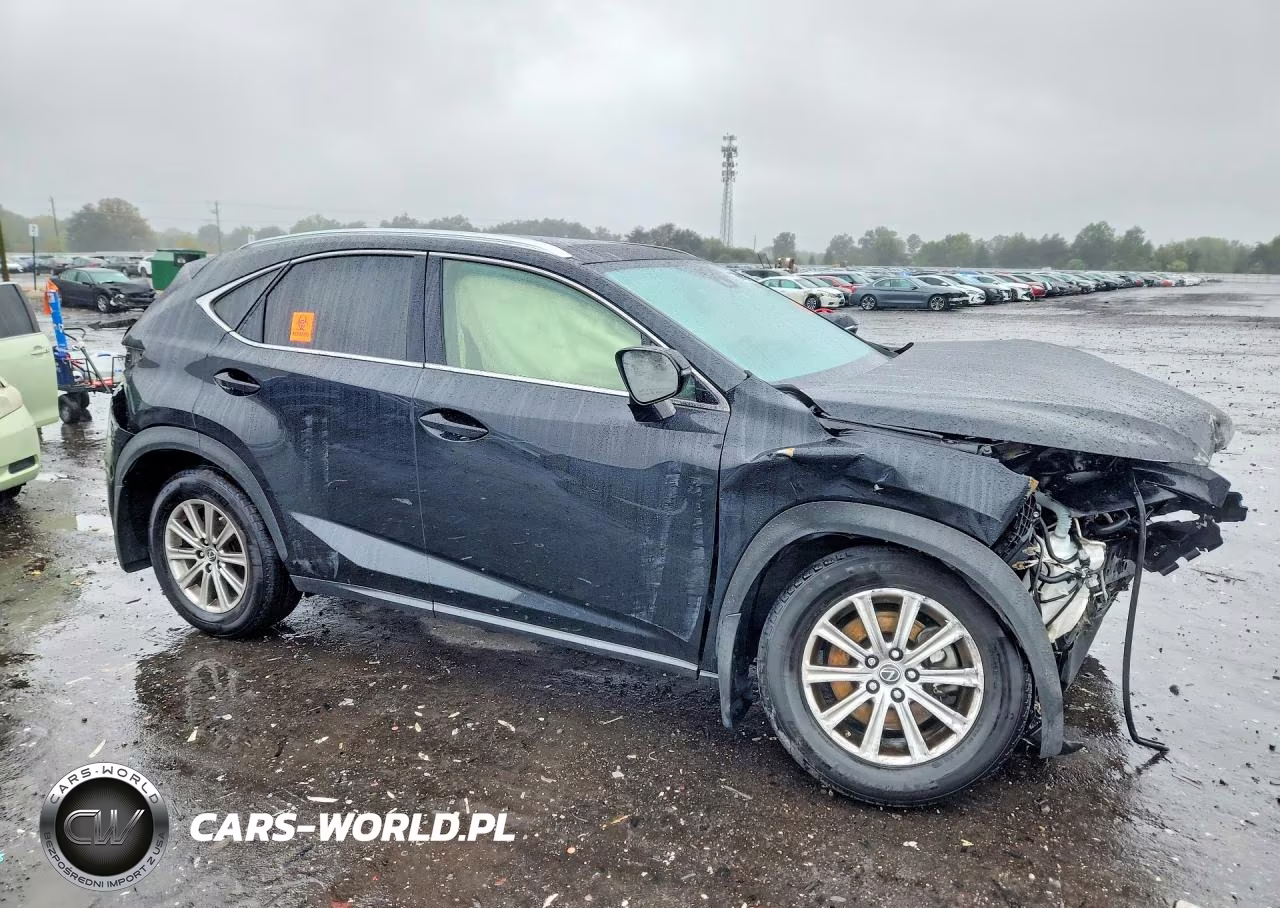 2020 Lexus Nx 300 VIN:JTJDARDZXL5011703 - 4