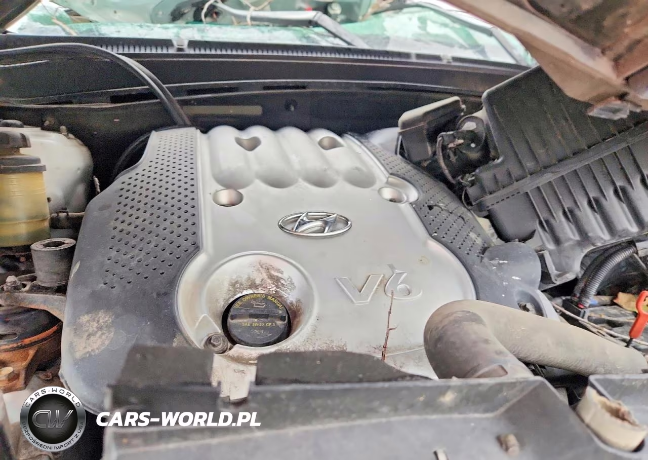 2007 Hyundai Santa Fe Gls VIN:5NMSG73D67H066431 - 11