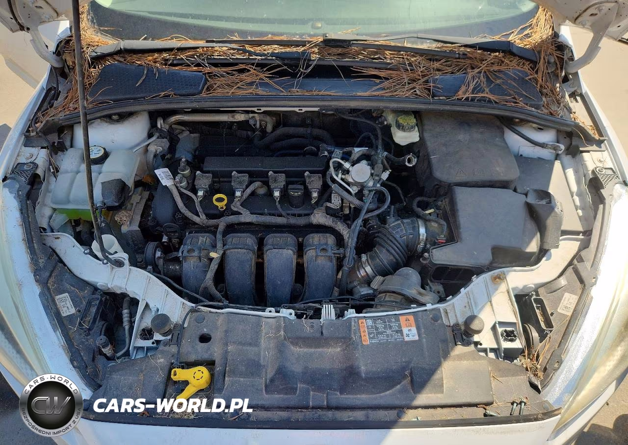 2017 Ford Focus Se VIN:1FADP3F20HL295382 - 11