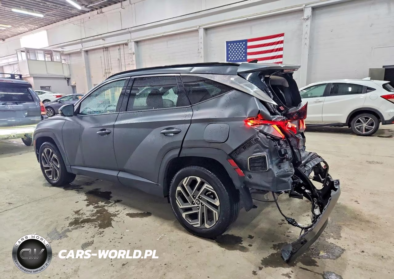 2025 Hyundai Tucson Limited VIN:5NMJECDE1SH539484 - 2