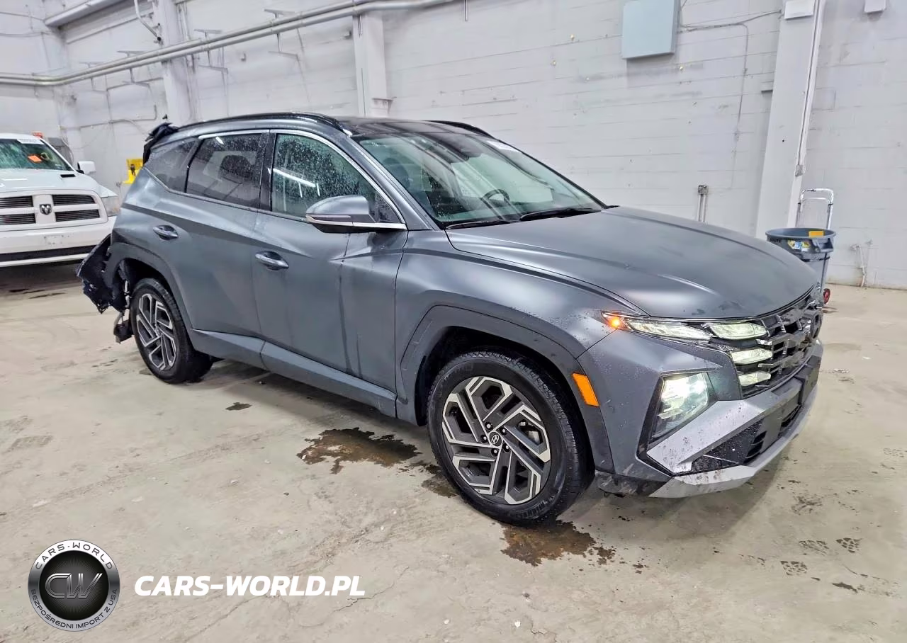 2025 Hyundai Tucson Limited VIN:5NMJECDE1SH539484 - 4