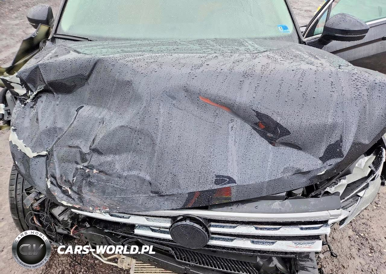 2019 Volkswagen Tiguan Se VIN:3VV2B7AX6KM100449 - 12