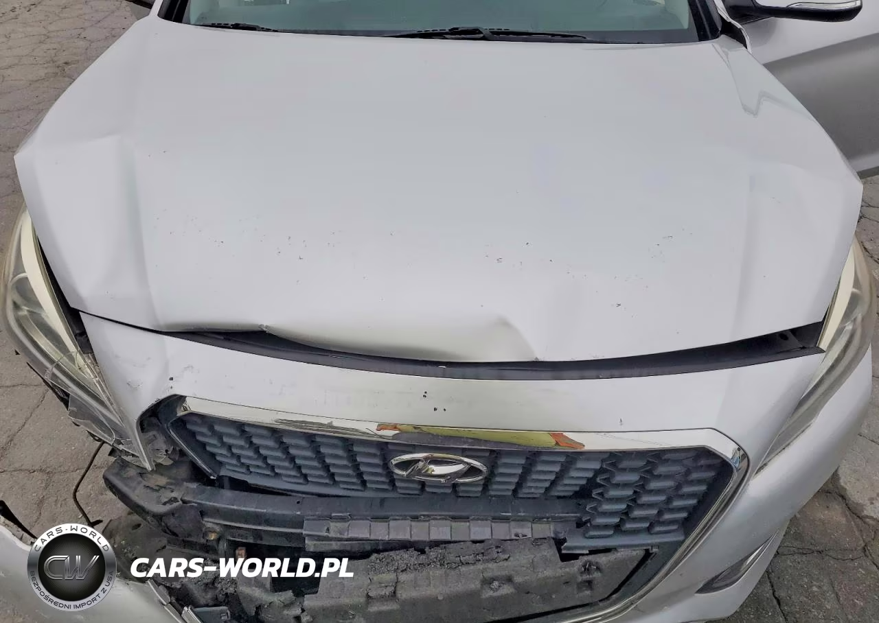 2016 Hyundai Sonata Hybrid Se VIN:KMHE24L13GA038933 - 11