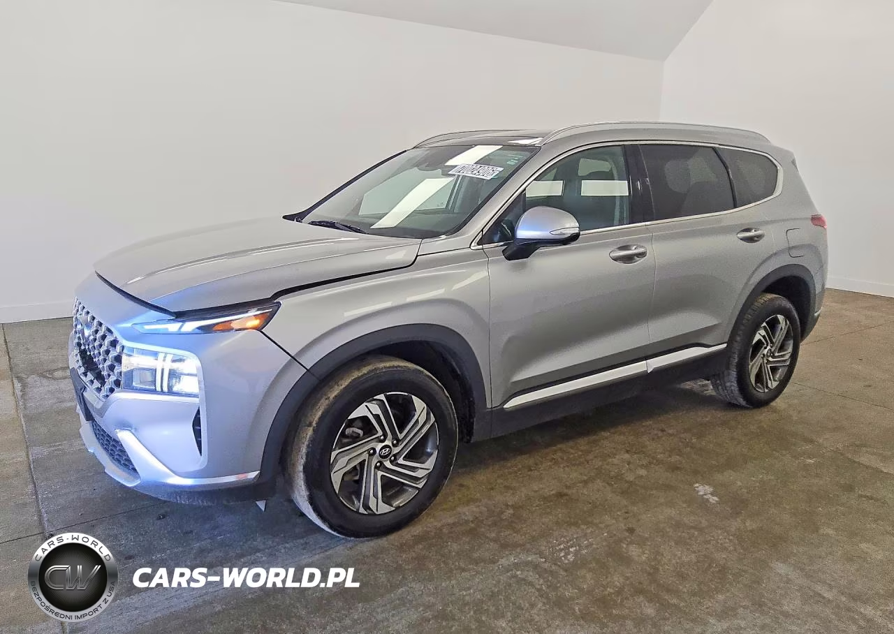 2023 Hyundai Santa Fe Sel Premium VIN:5NMS3DAJXPH531697 - 1